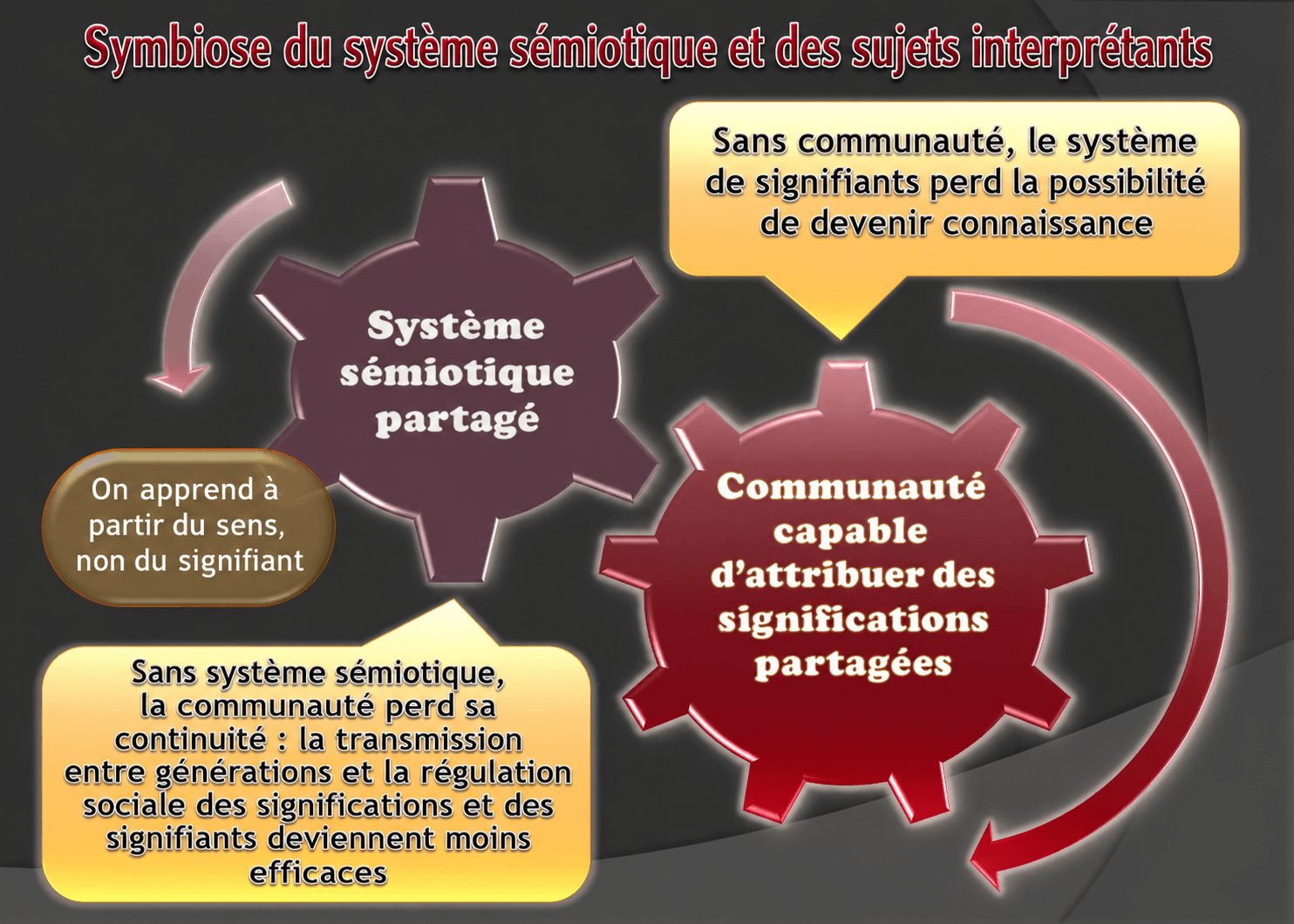 Schéma : symbiose sémiotique-communauté